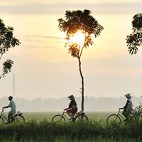 Hoi An Eco-Tour